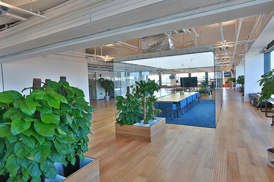 辦公室裝修設(shè)計(jì)從綠色環(huán)保開始_裝修知識_北京天元世紀(jì)裝飾工程設(shè)計(jì)有限公司